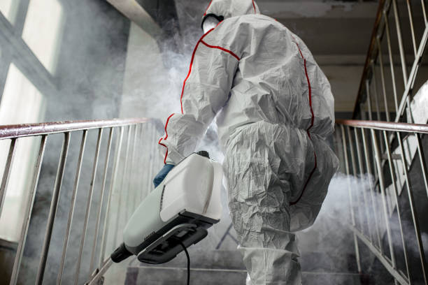 Best Mold Odor Removal Services  in Somerset, WI